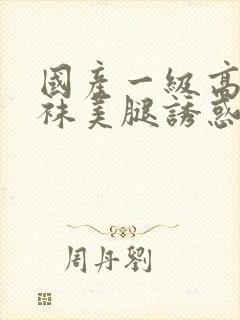 国产一级高跟丝袜美腿诱惑