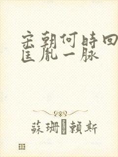 宋朝何时回到赵匡胤一脉