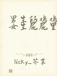 男生的鸡鸡插进女生屁屁里