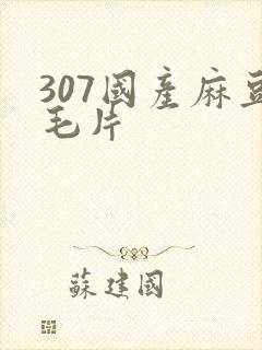 307国产麻豆毛片
