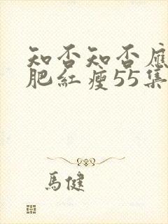 知否知否应是绿肥红瘦55集