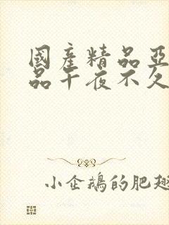 国产精品亚洲精品午夜不久久