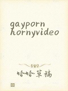 gaypornhornyvideo