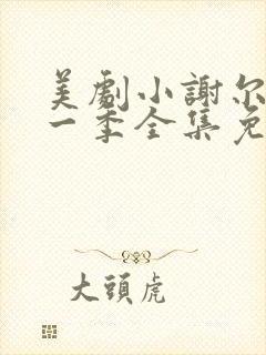 美剧小谢尔顿第一季全集免费