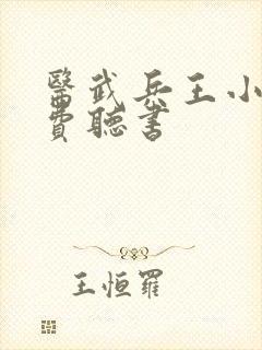 医武兵王小说免费听书封面