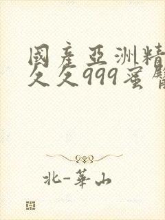 国产亚洲精品久久久999蜜臀