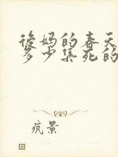 后妈的春天浩民多少集死的