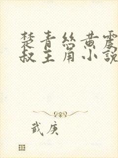 楚青丝黄震和陈叔主角小说免费阅读全文