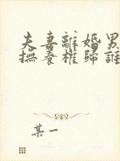 夫妻离婚男孩子抚养权归谁封面