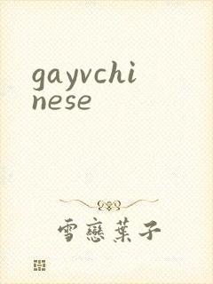 gayvchinese