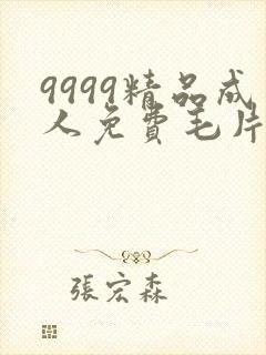 9999精品成人免费毛片在线看