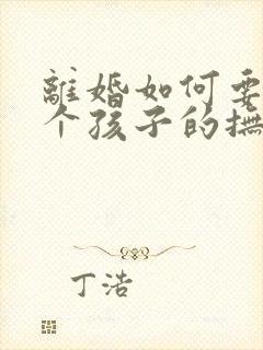 离婚如何要到两个孩子的抚养权