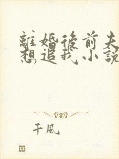 离婚后前夫总是想追我小说在线阅读