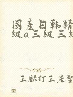 国产日韩精品三级a三级三级午夜