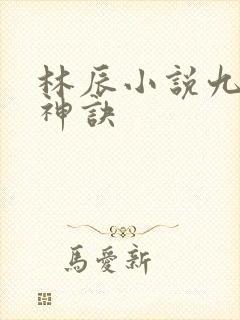 林辰小说九天斩神诀