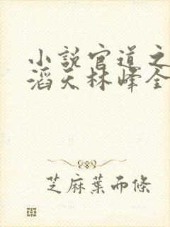 小说官道之权势滔天林峰全文阅读