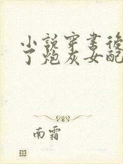 小说穿书后我成了炮灰女配