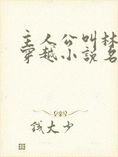 主人公叫林丰的穿越小说名字