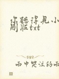 你听得见小说未删版txt