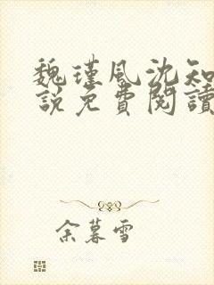 魏瑾风沈知玉小说免费阅读最新章节封面