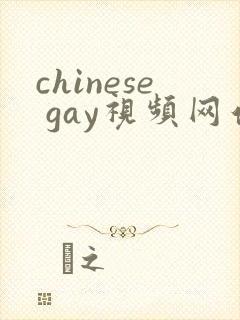 chinese gay视频网站封面