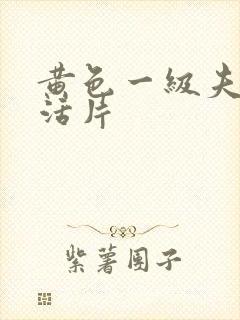 黄色一级夫妻生活片