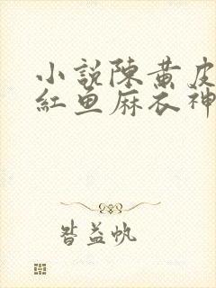 小说陈黄皮,叶红鱼麻衣神婿