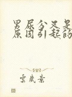 男尿分叉是什么原因引起的