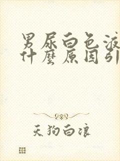 男尿白色液体是什么原因引起的