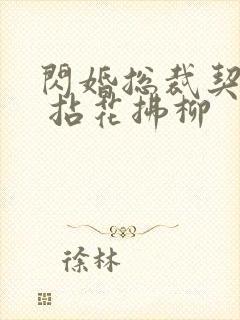 闪婚总裁契约妻 拈花拂柳