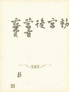 露营后宫动漫免费看