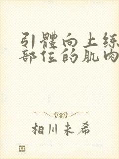 引体向上练什么部位的肌肉