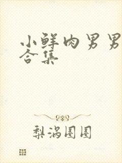 小鲜肉男男射精合集封面