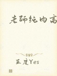 老师纯肉高h文