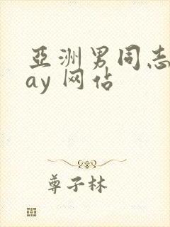 亚洲男同志 gay 网站