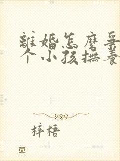 离婚怎么争取两个小孩抚养权封面