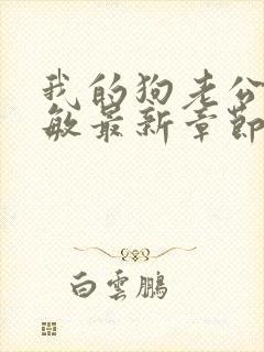 我的狗老公张淑敏最新章节免费阅读