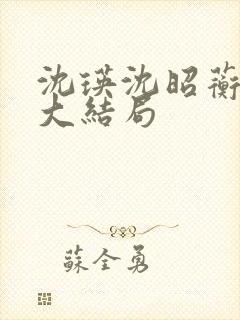 沈瑛沈昭蘅后续大结局