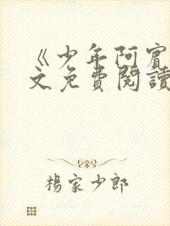 《少年阿宾》全文免费阅读