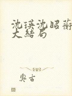 沈瑛沈昭蘅后续大结局