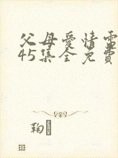 父母爱情电视剧45集全免费看