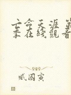 亡命天涯 第3季在线观看全集免费播放