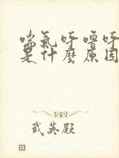 喘气呼噜呼噜响是什么原因