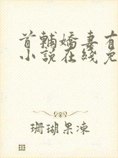 首辅娇妻有空间小说在线免费阅读完整版封面