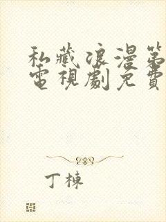 私藏浪漫第二部电视剧免费观看全集