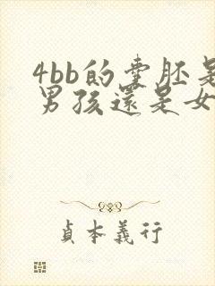 4bb的囊胚是男孩还是女孩