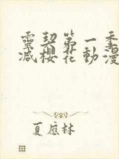 灵契第一季无删减樱花动漫