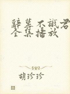 辞慕不识君短剧全集播放