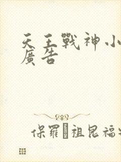 天王战神小说无广告