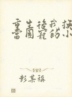 重生后我换一家当团宠的小说